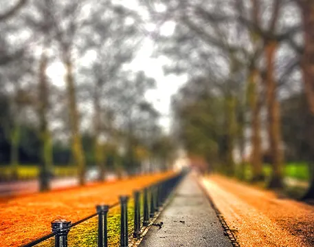 Road Editing Background